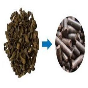 Proveedor de Palm Kernel Shell (PKS) para biocombustible y material industrial a precio barato - Product Image 6