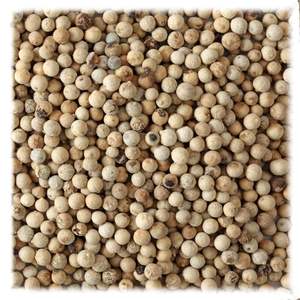 <b>BLUE</b> <b>POPPY</b> <b>SEEDS</b> - Product Image 4