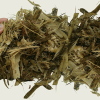 Silage de maïs de qualité alimentaire au meilleur prix pour l'alimentation des chevaux, haute humidité, origine Vietnam