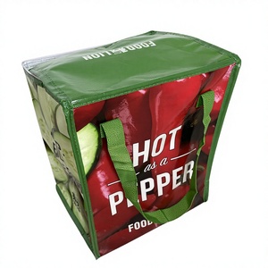 Non-Woven Insulated Cooler Bag with Zipper Closure - Product Image 1