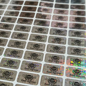 Solución de Etiquetas Digitales con Holograma de Seguridad Ovalado Plateado Personalizable, Modelo DLS-HS-001 para Protección de Marca - Product Image 1