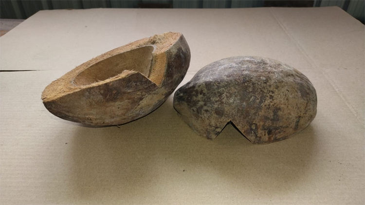 ธรรมชาติ