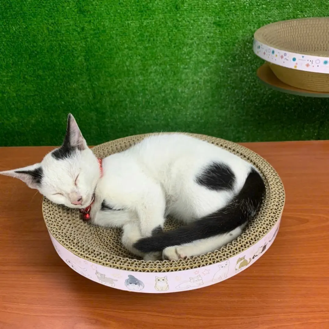 Tempat baru untuk kucing untuk berbaring membantu kucing tidak mendapatkan melingkar dingin dan bentuk oval promosi Natal untuk pengecer