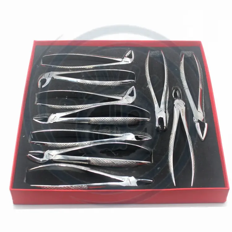 Zange Labor Dental Extract ing Pinzette Set mit 10 Stück Edelstahl Dental Instruments Zahn zange für Zahnarzt mit Werkzeug