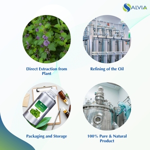 Huile essentielle de menthe de maïs pure et naturelle 100% dans un emballage personnalisé économique en gros - Product Image 4