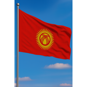 Drapeau extérieur du Kirghizistan avec logo personnalisé 3x5 pieds, impression numérique sur soie, mât en aluminium, assurance automobile, éducation, agence de voyages - Product Image 3