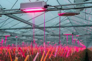 SMD 3535 ha condotto la lampada infrarossa del LED per gli inneschi crescenti della pianta che fioriscono il rosso lontano 730nm 1W -20 - 80 -35 - 85 3.5*3.5*0.6mm 30 ~ 40LM 120