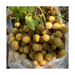 优质优质超甜新鲜龙眼以具有竞争力的价格批量销售越南养殖有机新鲜龙眼水果