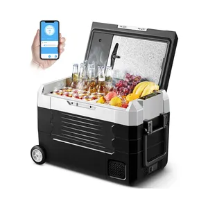 45-литровый автомобильный холодильник мини-холодильник с морозильной камерой