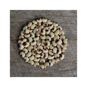 Haricot de niébé rouge Haricot de Vigna rouge niébé de qualité d'exportation Petits haricots adzuki rouges - Product Image 2
