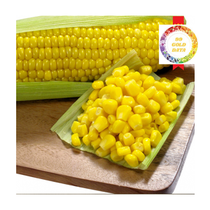 Maíz dulce congelado de alta calidad 2025 listo para usar para fábricas de alimentos enlatados, restaurantes de servicio rápido y fabricantes de alimentos - Product Image 1