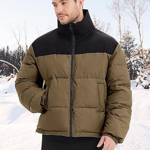Veste d'hiver matelassée pour homme de haute qualité, design à bulles, avec fermeture éclair, capuche, tissu en toile, haut de gamme, manteau d'hiver chaud - Product Image 2