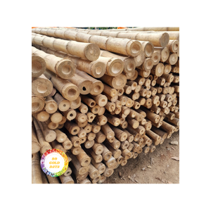 หลอดเสาไม้ไผ่เวียดนาม-ไม้ไผ่คุณภาพสูงสำหรับฟันดาบและงานฝีมือ-แหล่งวัตถุดิบที่เป็นมิตรต่อสิ่งแวดล้อม - Product Image 6