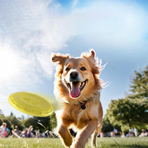 Silicone Soucoupe Volante Chien <span class=keywords><strong>Chat</strong></span> Jouet Chien <span class=keywords><strong>Jeu</strong></span> Disques Volants Résistant À Mâcher Chiot Formation Interactive Fournitures Pour Animaux De Compagnie - Product Image 2