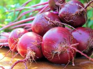 100% extrait de betterave pur noix de betterave/Sophie - Product Image 6