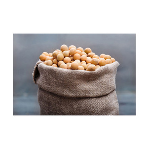 Soja jaune séché en vrac riche en protéines / Soja non-OGM / Soja OGM à haute teneur en protéines brutes - Meilleur prix - Product Image 2