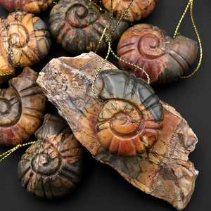 AA + Colgante de amonita de piedras preciosas naturales talladas altas Colgante de cuentas de piedras preciosas Colgante de amonita perforada en el lado superior - Product Image 2