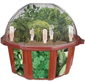 Kit de démarrage de jardin d'herbes d'intérieur, 5 sachets, terrarium comprenant <span class=keywords><strong>basilic</strong></span>, origan, persil, terreau, pots à fleurs, jardinières - Product Image 3
