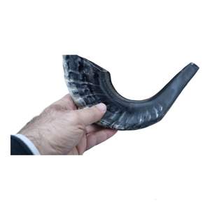 Free Range Organic Lamb & Ram Horns Golosinas de entrenamiento para perros de alta proteína y material artesanal natural - Product Image 4