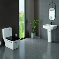 Ensemble de salle de bain en céramique sanitaire, toilette monobloc avec lavabo sur pied, chaise de toilette pour usage domestique
