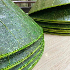 Chapeau en bambou vietnamien pour adulte unisexe, cosplay, chapeau conique de soleil, chapeau de pêcheur tissé à la main, chapeau de riziculteur pour hommes et femmes, livraison directe - Product Image 6