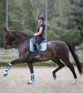 High Quality Equestrian Saddle Pad Equestrian Products Horse Saddle Premium Quality Equine Dressage Saddle Pad Riding Pad - Product Image 6