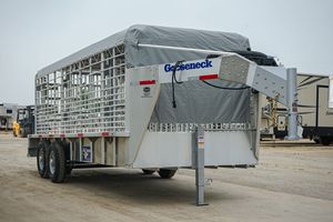 Remolque para Ganado Stonegate de 2 Ejes, Económico, con Pared Lateral Desmontable y Rampa para el Transporte de Ganado Vacuno, Ovino, Equino, Vacas y Cerdos - Product Image 4