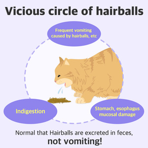 Suplemento para gatos DR.BY HB CARE Comida para gatos Churu Hairball Care Portable Churu Digestion Cat Treats Low Salt Low Allergens - Product Image 4