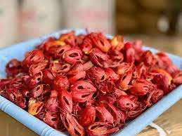 Maceco Crudo Seco de Alta Calidad para Exportación, Especias de Calidad y Uso Industrial Alimentario al Por Mayor al Mejor Precio del Mercado - Product Image 3