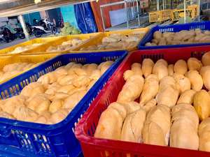 ทุเรียนแช่แข็งเวียดนาม-100% สุกเนื้อเหลืองหวาน | การส่งออกสูง - Product Image 6