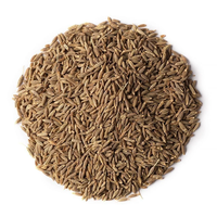 Graines de cumin d'origine de haute qualité Graines Jeera Arôme fort Goût naturel Épice sans gluten Fournisseur en gros d'exportation