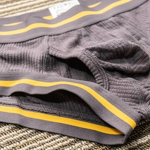 Ropa interior para hombre 2025, pantalones cortos clásicos de secado rápido, ropa deportiva sólida, bañadores, forro de malla para la playa, ropa interior para surf - Product Image 5