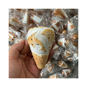 Coquillages artisanaux du Vietnam Coquillages nettoyés et polis du Vietnam Coquillage naturel de vente chaude - Product Image 1