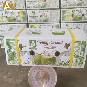 Eau hydratante pure de noix de coco thaïlandaise fraîche et viande tendre chaque coquille avec des fruits frais et de la pulpe - Product Image 4