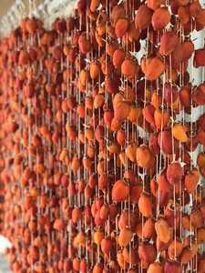 Caqui seco de alta calidad de Vietnam, empaquetado a granel y conservado en agua, buen color y buen sabor, por lo que Delic - Product Image 2