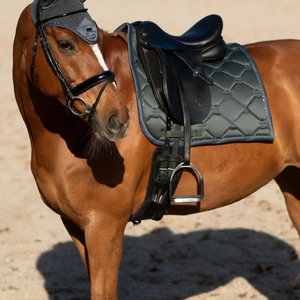 Tapis de selle équestre anglais élégant Doublure douce et respirante Conception matelassée durable Soutien confortable pour les chevaux - Product Image 2