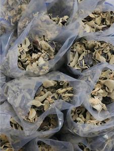 Copos de oreja de nube de Grado Superior reducen la inflamación ayuda a la desintoxicación sabor mariscos sopas o platos fritos con una cocción mínima - Product Image 5