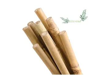 100% Natural Bamboo Pole Is Raw Bamboo Material For Construction/Agriculture/Decorating From Eco2go Vietnam