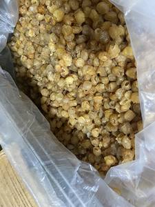 Longan seco de calidad de exportación con textura uniforme, adecuado para la compra al por mayor por mayoristas, distribuidores y compradores globales. - Product Image 6