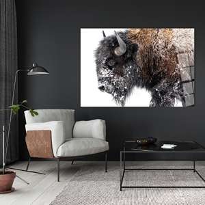 Elegante Impresión en Lienzo de Bisón Invernal: Arte Mural de Animales Americanos, Arte en Vidrio Templado - Product Image 1
