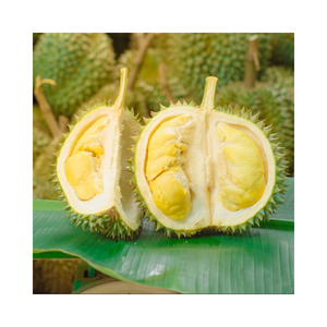 Fruta de Durian Fruta tropical Durian congelado de Vietnam Frutas tropicales a precio competitivo Ventas al por mayor para la exportación - Product Image 3