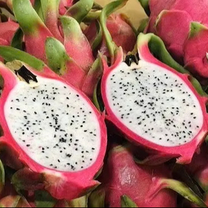 Fruta de dragón fresca de Vietnam, cartón de 5Kg/10kg, entrega rápida con soporte de exportación - Product Image 1