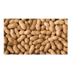 ถั่วลิสงออร์แกนิกปอกเปลือก ปอกเปลือกแดง ขายส่งจำนวนมาก - Product Image 2