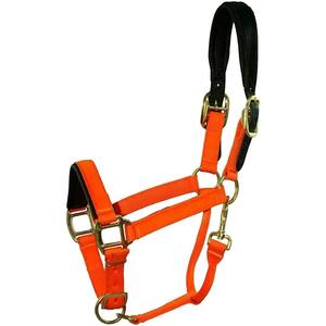 Accesorios de Lujo para Caballos de Alto Rendimiento, Silla Inglesa, Cabestros de Nailon, Brida para Caballos, Lotus G Lobal Endurance Racing - Product Image 4