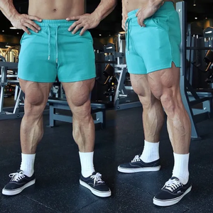 Shorts d'entraînement pour hommes Shorts de fitness Sport Running Gym Shorts d'entraînement pour hommes Pantalons de plage personnalisés - Product Image 3