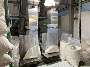 Poudre de noix de coco desséchée entièrement blanche d'origine du Vietnam conservée avec de la viande de noix de coco au goût sucré - Product Image 5