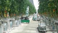 Nouveau chariot électrique de haute qualité pour rail métallique, avec élingue à câble et télécommande, pour la culture en serre de tomates et légumes