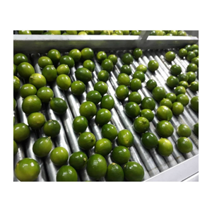 Lima verde fresca de primera calidad/limón sin semillas de Vietnam/cítricos auténticos agrios naturales 100% de alta calidad de exportación - Product Image 2