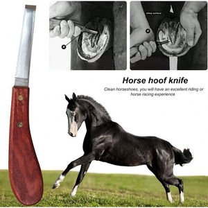 Premium Professional 8PCS Farrier Tools Kit Horse Hoof Trimmers para veterinarios y jinetes Herramientas veterinarias de acero inoxidable - Product Image 6