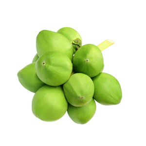 Fresh Young Coconuts 250-300ml Chacun avec profil poli Sport un diamant pour stimuler les protéines - Product Image 6